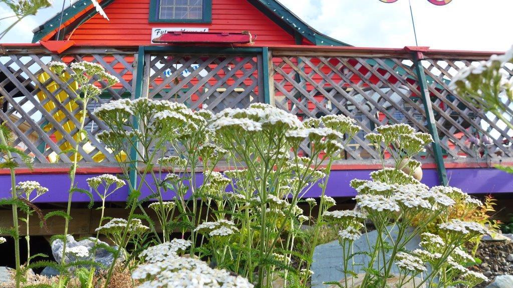 Mountain Thyme Getaway Hotel Barkerville Екстериор снимка